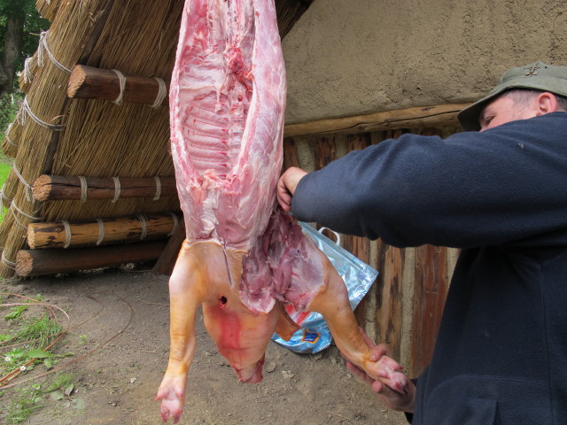 Tierzerlegung beim Steinzeitfest im Urgeschichtemuseum Asparn an der Zaya