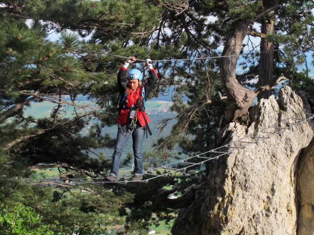 Diana auf der Seilbr&uuml;cke