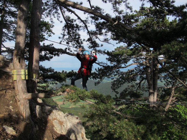 Diana auf der Seilbr&uuml;cke