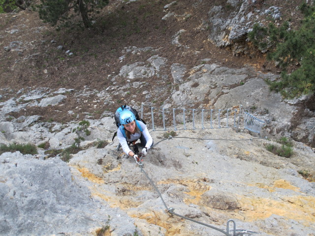 Diana auf der H&auml;ngeleiter