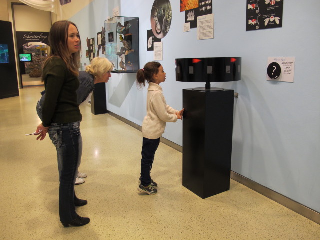 Diana, ? und Daria in der Sonderausstellung 'Schmetterlinge'