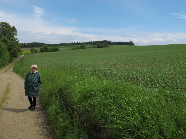 Oma zwischen Geras und Hufnagelberg