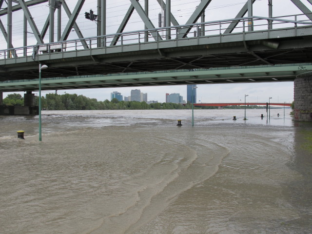 Treppelweg bei der Nordbahnbrücke (4. Juni)