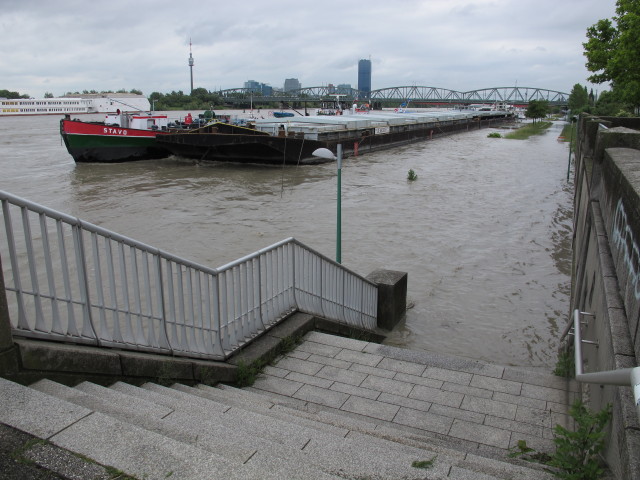Treppelweg bei der Floridsdorfer Br&uuml;cke (4. Juni)