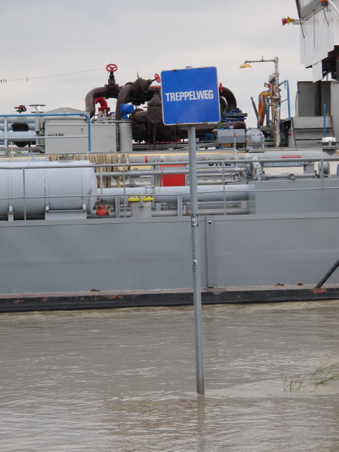 Treppelweg zwischen Floridsdorfer Br&uuml;cke und Nordbahnbr&uuml;cke (5. Juni)