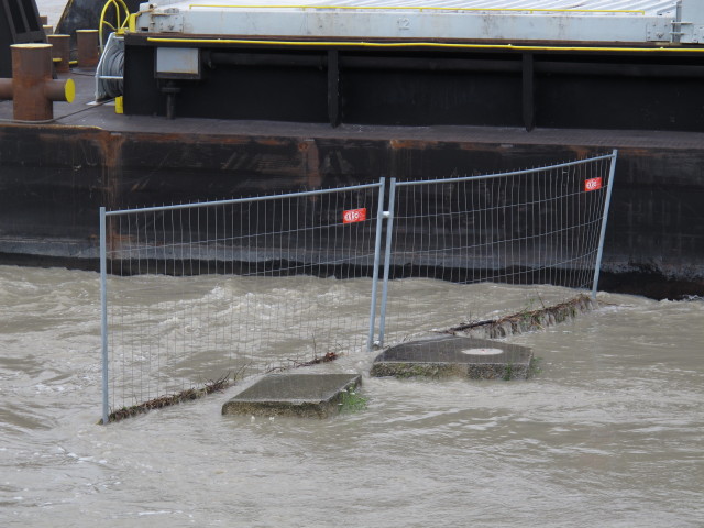 Treppelweg zwischen Floridsdorfer Br&uuml;cke und Nordbahnbr&uuml;cke (5. Juni)