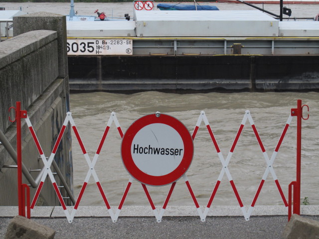 Treppelweg zwischen Floridsdorfer Br&uuml;cke und Nordbahnbr&uuml;cke (5. Juni)