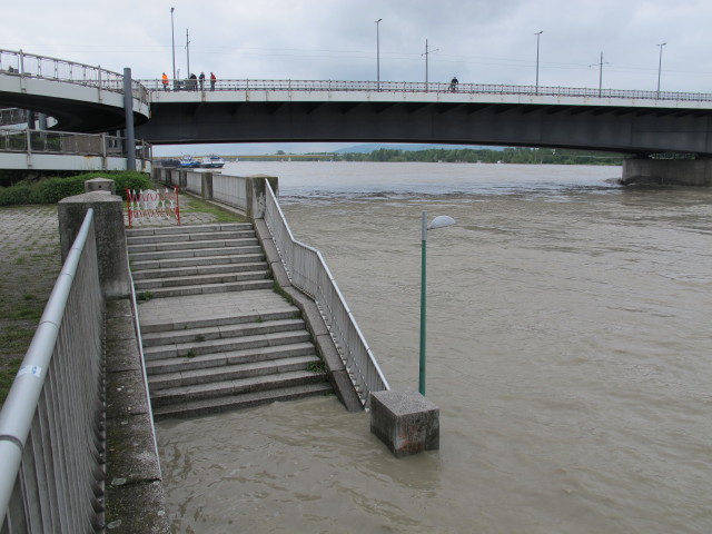Floridsdorfer Br&uuml;cke (5. Juni)