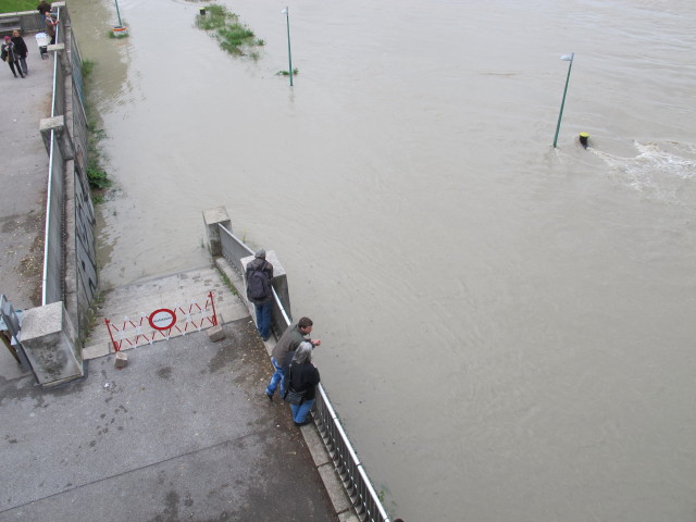 Treppelweg bei der Nordbahnbr&uuml;cke (5. Juni)