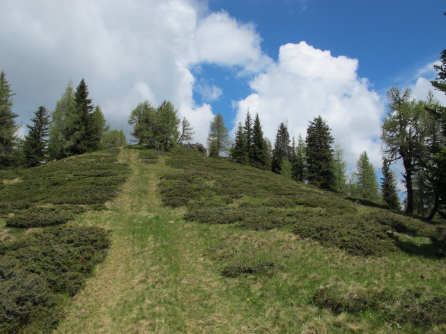 zwischen Graningh&uuml;tte und Rosenkofel (8. Juni)
