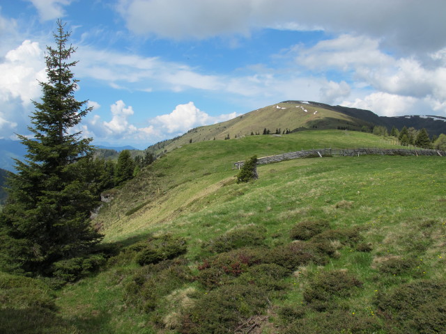 Lammersdorfer Berg vom Rosenkofel aus (8. Juni)