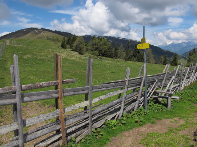 zwischen Rosenkofel und Lammersdorfer Berg (8. Juni)