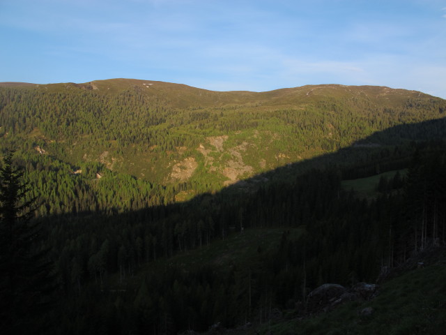 Millst&auml;tter Alpe (9. Juni)