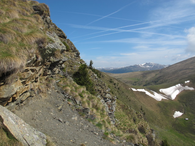 zwischen Langnock und Lamprechth&uuml;tte (9. Juni)