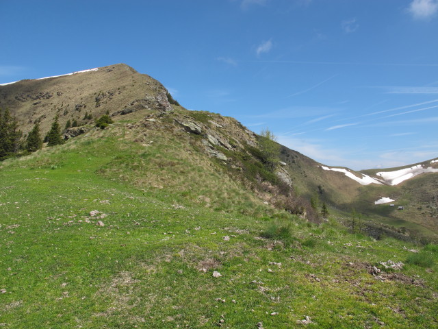 zwischen Langnock und Lamprechthütte (9. Juni)