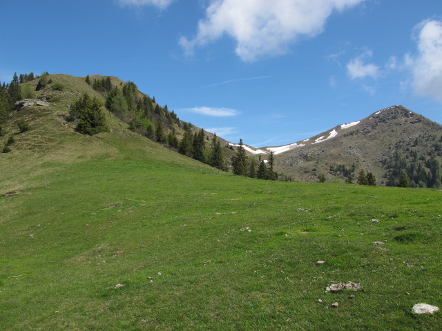 zwischen Langnock und Lamprechth&uuml;tte (9. Juni)