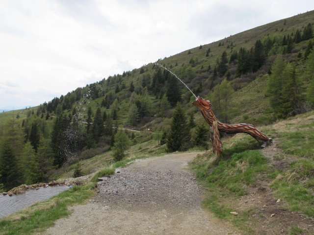 zwischen Millstätter Hütte und Tschierweger Nock (9. Juni)