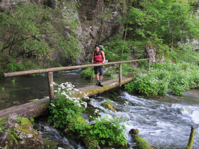 Gudrun auf Weg 454 beim Schwarztorren (15. Juni)