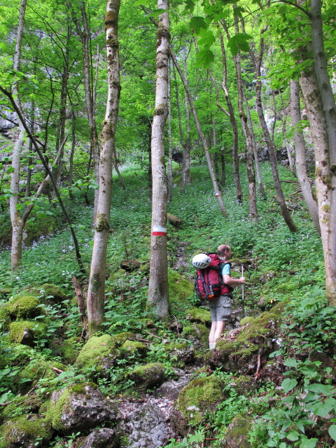 Christoph am Schlumsteig zwischen beim kalten Wasser und Schlumhiefl (15. Juni)