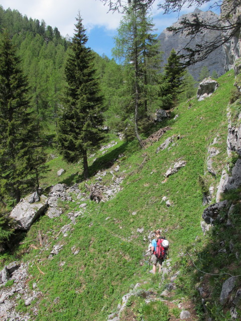 Christoph auf Weg 454 zwischen Seerinne und Vorderschlumalm (15. Juni)
