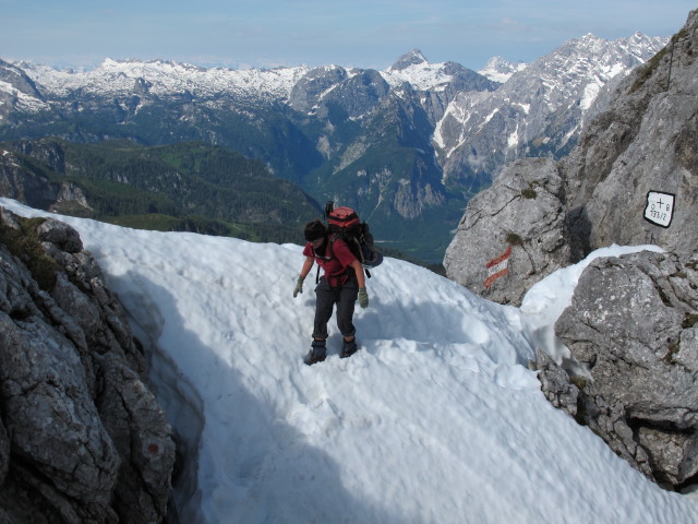Gudrun zwischen Brettriedel und Gro&szlig;em Archenkopf (16. Juni)