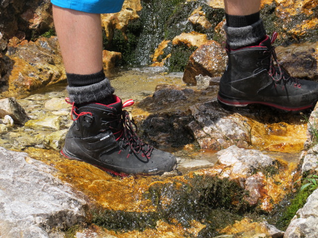 Elias im Silberkar (22. Juni)