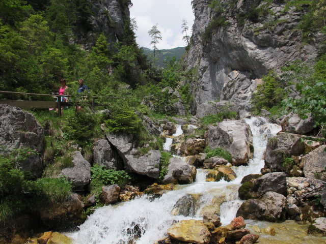 Silberkarklamm (22. Juni)