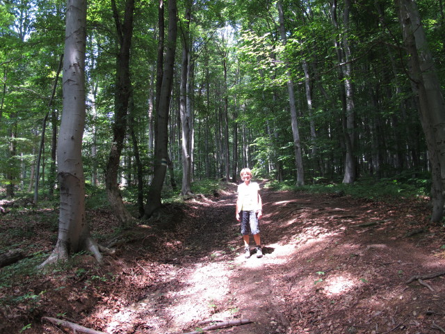 Mama zwischen Unter Purkersdorf und Buchberg