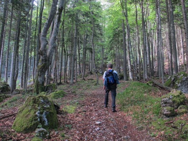 Erich auf Weg P3 zwischen Talstation der Petzen-Kabinenbahn und Unterer Krischa