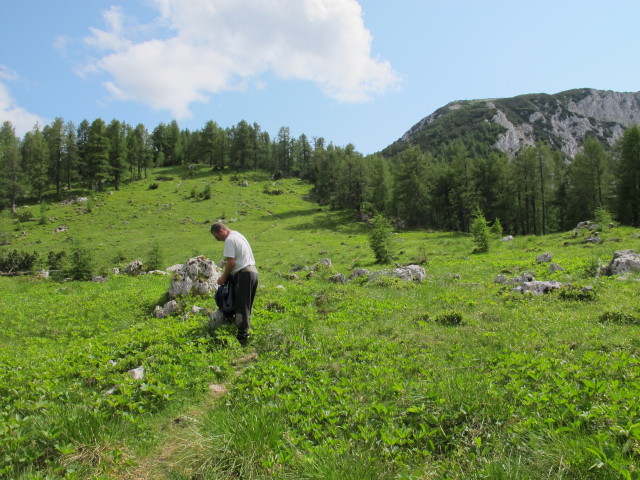 Erich auf Weg P4 zwischen Feistritzer Spitze und Neuberschstan