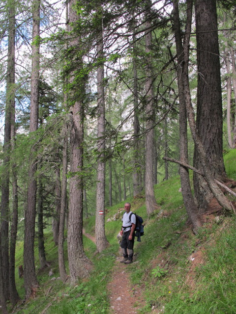 Erich auf Weg P3 zwischen Krischah&uuml;tte und Unterer Krischa