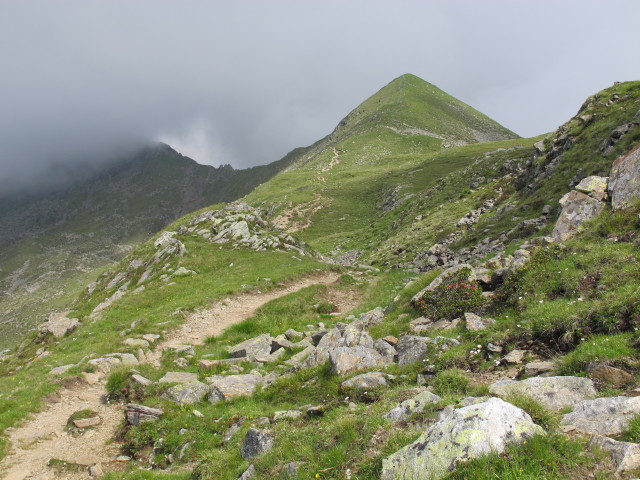 Goisele vom Weg 913 aus (13. Juli)