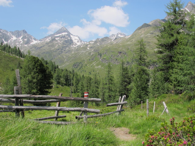 Lienzer H&ouml;henweg zwischen Lienzer H&uuml;tte und Schulterbach (14. Juli)