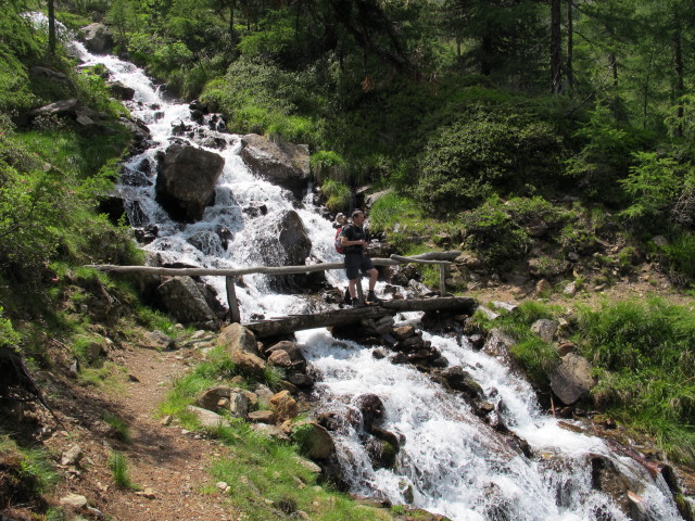 Lienzer H&ouml;henweg beim Schulterbach, 1.967 m (14. Juli)