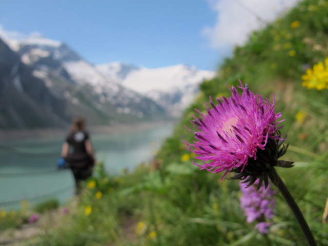 Irene zwischen H&ouml;henburg und Mooserboden-Sperre (20. Juli)