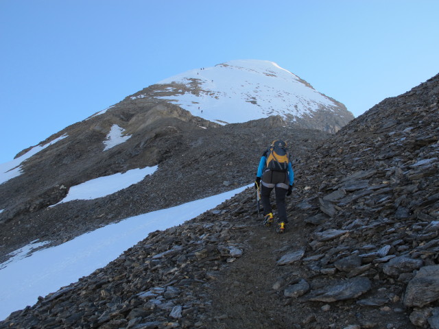 Irene zwischen Wielingerscharte und Gro&szlig;em Wiesbachhorn (21. Juli)