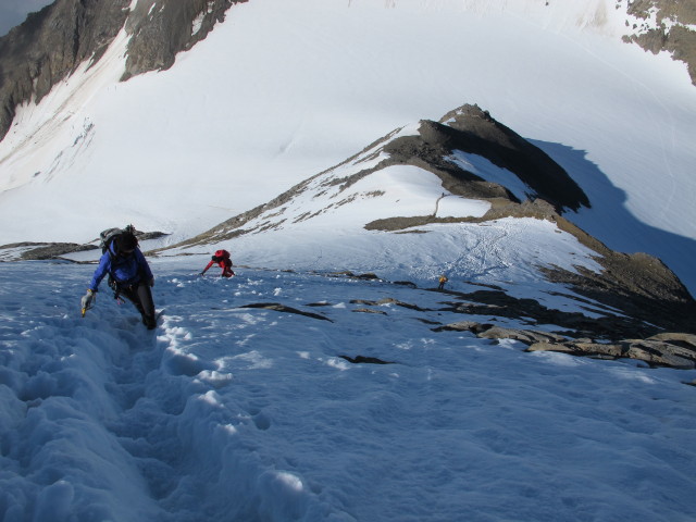 zwischen Wielingerscharte und Gro&szlig;em Wiesbachhorn (21. Juli)