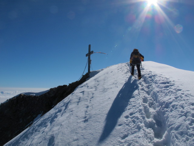 Irene zwischen Wielingerscharte und Gro&szlig;em Wiesbachhorn (21. Juli)
