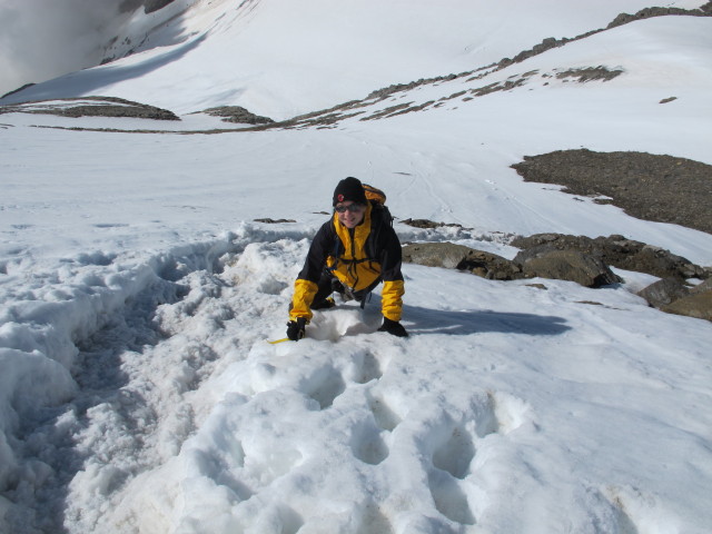 Irene zwischen Gro&szlig;em Wiesbachhorn und Wielingerscharte (21. Juli)