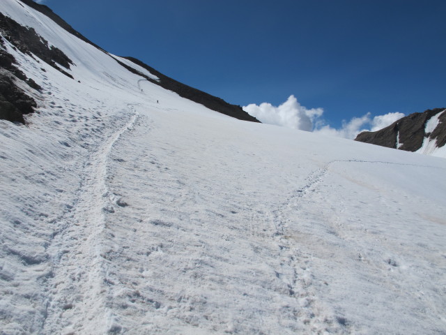 zwischen Gro&szlig;em Wiesbachhorn und Kaindlgrat (21. Juli)