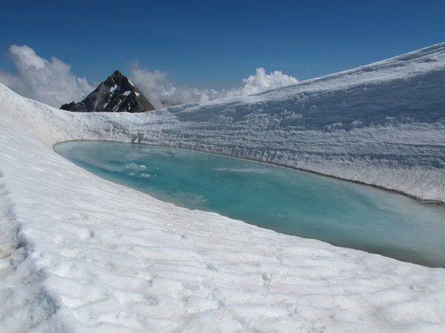 neben Weg 718 zwischen Gro&szlig;em Wiesbachhorn und Kaindlgrat (21. Juli)