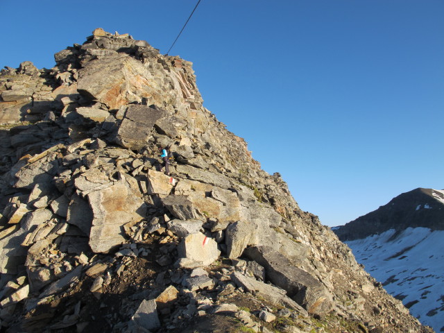 Irene am Weg 102 zwischen Kleinflei&szlig;kees und Goldzechkopf (28. Juli)