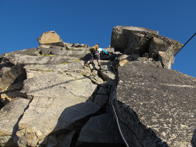 Irene am Weg 102 zwischen Kleinflei&szlig;kees und Goldzechkopf (28. Juli)