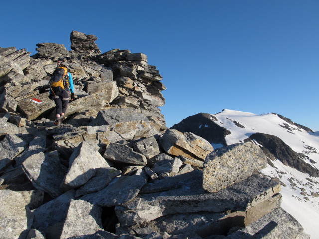 Irene am Weg 102 zwischen Kleinflei&szlig;kees und Goldzechkopf (28. Juli)