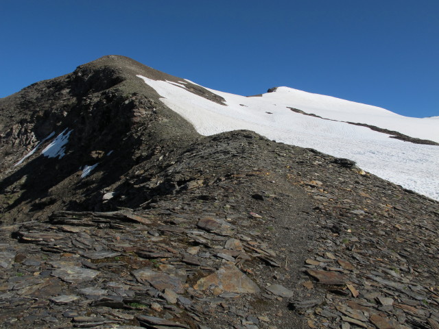 Weg 102 zwischen Erfurter Weg und K&auml;lbergrat (28. Juli)