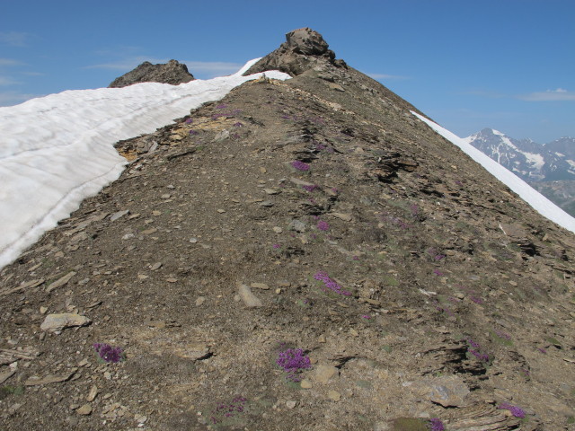 Klagenfurter Jubil&auml;umsweg zwischen Otto-Umlauft-Biwakschachtel und Krumlkeeskopf (28. Juli)