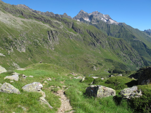 Weg 102 zwischen Simmingalm und Mitteregg (2. Aug.)