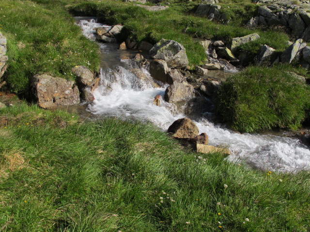 Gr&uuml;bl (2. Aug.)