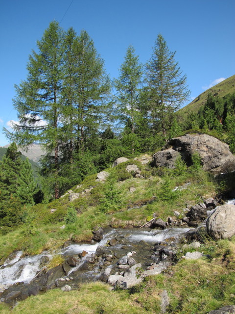 Falginbach (15. Aug.)