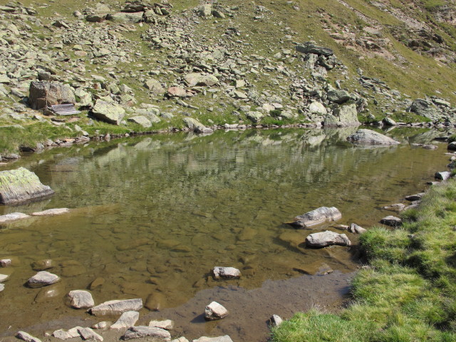 neben Weg 2 zwischen Weg 1A und Wei&szlig;kugelh&uuml;tte (15. Aug.)